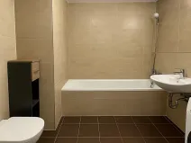 Pronájem bytu 1+kk, Praha - Žižkov, 39 m2