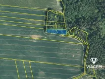 Prodej lesa, Šípy, 1093 m2