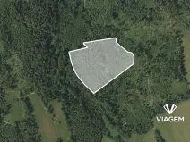 Prodej lesa, Spálov, 19116 m2