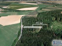 Prodej lesa, Petrůvky, 711 m2