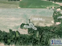 Prodej lesa, Katusice, 1936 m2