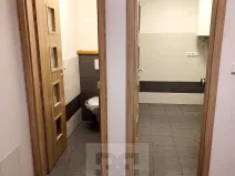 Pronájem bytu 1+kk, Mohelnice, Olomoucká, 65 m2