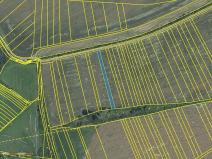 Prodej pole, Ořechov, 6009 m2