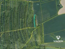 Prodej lesa, Blížejov, 1490 m2