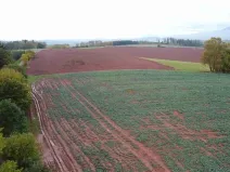 Dražba pole, Staré Buky, 71140 m2