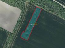 Prodej pole, Podsedice, 7835 m2