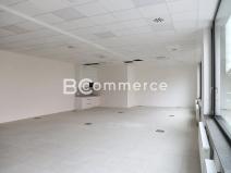 Pronájem kanceláře, Brno, 500 m2