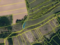 Prodej lesa, Častrov, 886 m2