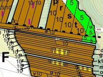 Dražba lesa, Hradčany-Kobeřice, 1895 m2