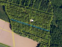 Dražba lesa, Hradčany-Kobeřice, 1989 m2