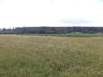 Dražba pole, Roudné, 8259 m2