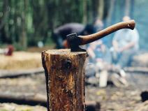 Prodej podílu lesa, Tichá, 6435 m2