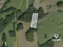 Prodej podílu lesa, Tichá, 6435 m2