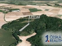 Prodej podílu lesa, Rybníky, 2317 m2