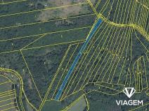 Prodej podílu lesa, Rybníky, 2317 m2