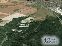 Prodej podílu lesa, Drahelčice, 3372 m2