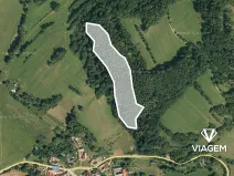 Prodej podílu lesa, Vranová Lhota, 1741 m2
