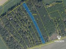 Prodej podílu lesa, Koloveč, 718 m2