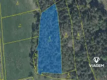 Prodej podílu lesa, Koloveč, 707 m2