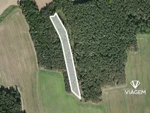 Prodej podílu lesa, Koloveč, 2021 m2