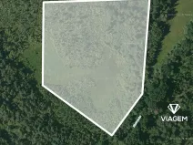 Prodej podílu lesa, Veselí nad Lužnicí, 20552 m2