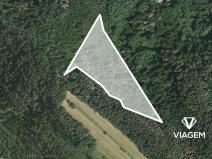 Prodej podílu lesa, Kuřimská Nová Ves, 8824 m2