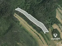 Prodej podílu lesa, Kuřimská Nová Ves, 6242 m2