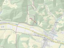 Dražba lesa, Hovězí, 2626 m2