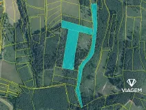 Prodej lesa, Mikulůvka, 28243 m2