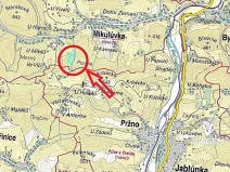 Prodej lesa, Mikulůvka, 28243 m2