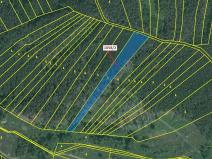 Dražba lesa, Milavče, 5152 m2