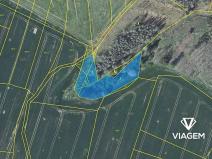 Prodej podílu lesa, Radošovice, 683 m2