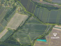 Prodej lesa, Starý Jičín, 4723 m2