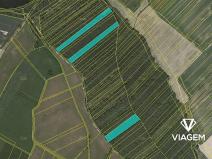 Prodej podílu lesa, Komárov, 8639 m2