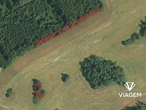 Prodej lesa, Věchnov, 415 m2