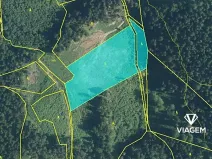 Prodej lesa, Lhota u Vsetína, 11980 m2