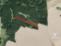 Prodej podílu lesa, Věžnice, 448 m2