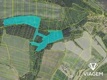 Prodej podílu lesa, Chlum, 8737 m2