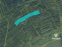 Prodej podílu lesa, Nový Jičín, 3706 m2