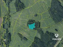 Prodej podílu lesa, Vítanov, 1399 m2