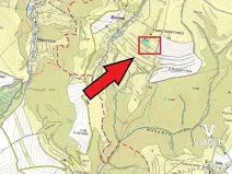 Prodej lesa, Tvrdkov, 5303 m2