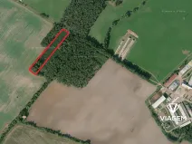 Prodej podílu lesa, Živanice, 3988 m2