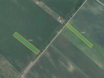 Prodej pole, Velké Bílovice, 12186 m2