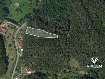 Prodej lesa, Letovice, 2436 m2