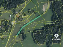 Prodej pole, Bor u Skutče, 1431 m2