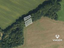 Prodej podílu pole, Mladějov na Moravě, 1655 m2