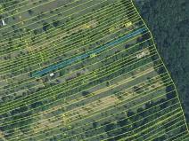 Prodej podílu zahrady, Vlčnov, 559 m2