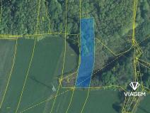 Prodej lesa, Dětmarovice, 3667 m2