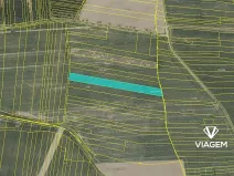 Prodej podílu pole, Slabčice, 2944 m2