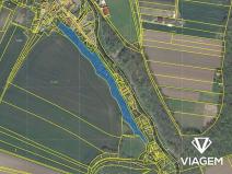 Prodej lesa, Brozany nad Ohří, 8634 m2